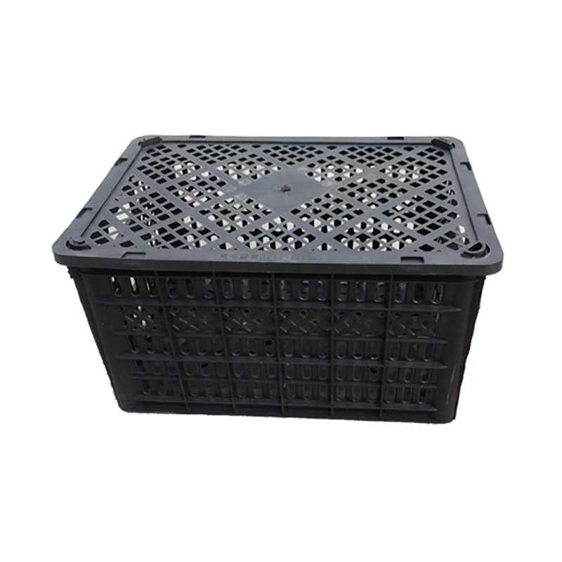 單色產(chǎn)品